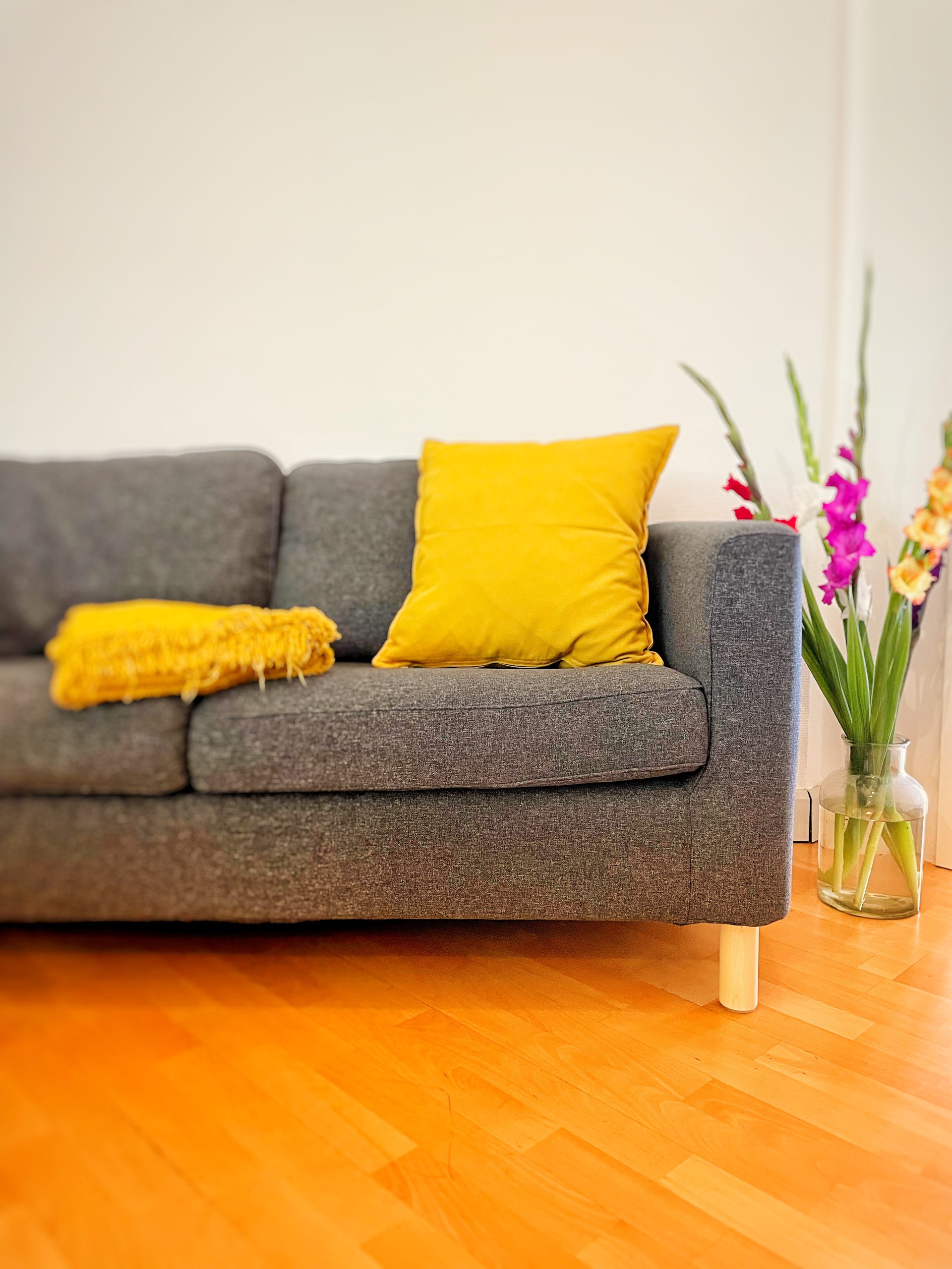 IMG_4172_SnapseedCopy